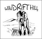 Windrift Hill Kode Promo 
