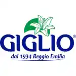 Giglio Promo Codes 
