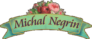 Michal Negrin プロモーション コード 